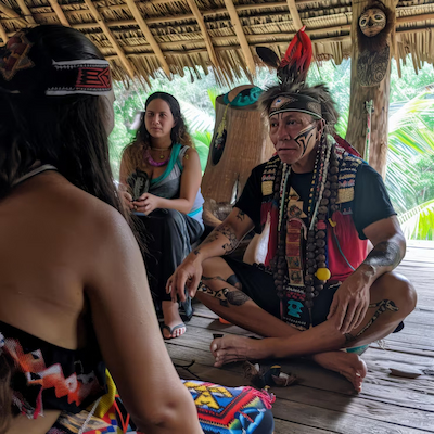 Music in Brazilian Indigenous Cultures and Its Ritual Meanings