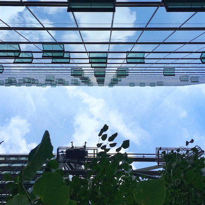 Sustainability in Contemporary Architecture: Building with Consciousness